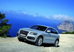 Audi Q5 2.0 TFSI 180cv quattro