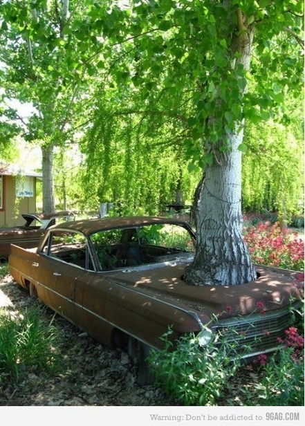 Green car with extra anti-theft feature never seen before.