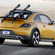 Volkswagen Beetle Dune