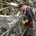 Sunderland is already the largest auto factory in the UK