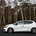 The 220 Trophy is powered by an upgraded version of the 1.6-litre turbo engine. It gets 10% more power, with a total of 220hp