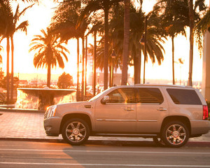 Escalade AWD Luxury