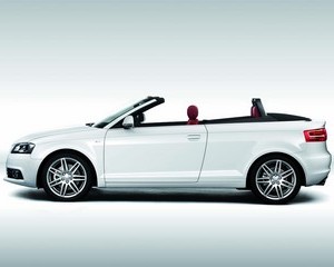 A3 Cabrio 1.9 TDI FPD Sport