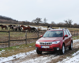 Forester 2.0 XS