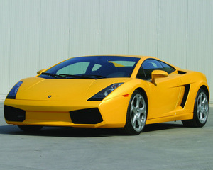 Gallardo