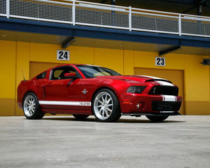 GT500 Super Snake Wide Body