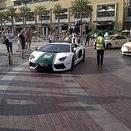 Die Polizei in Dubai fährt jetzt Aventador und Camaro