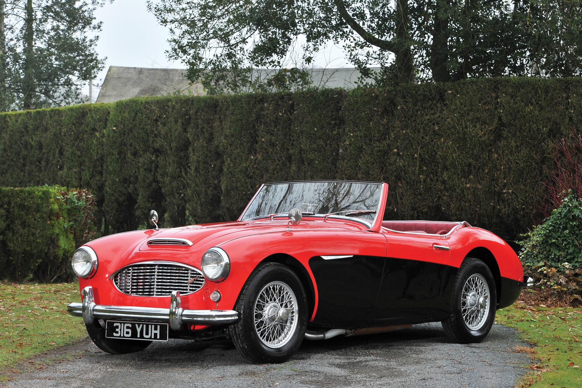 Austin-Healey