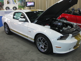 Shelby GTS 50th Anniversary