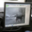 Volvo is retuning its pedestrian safety system to also notice animals