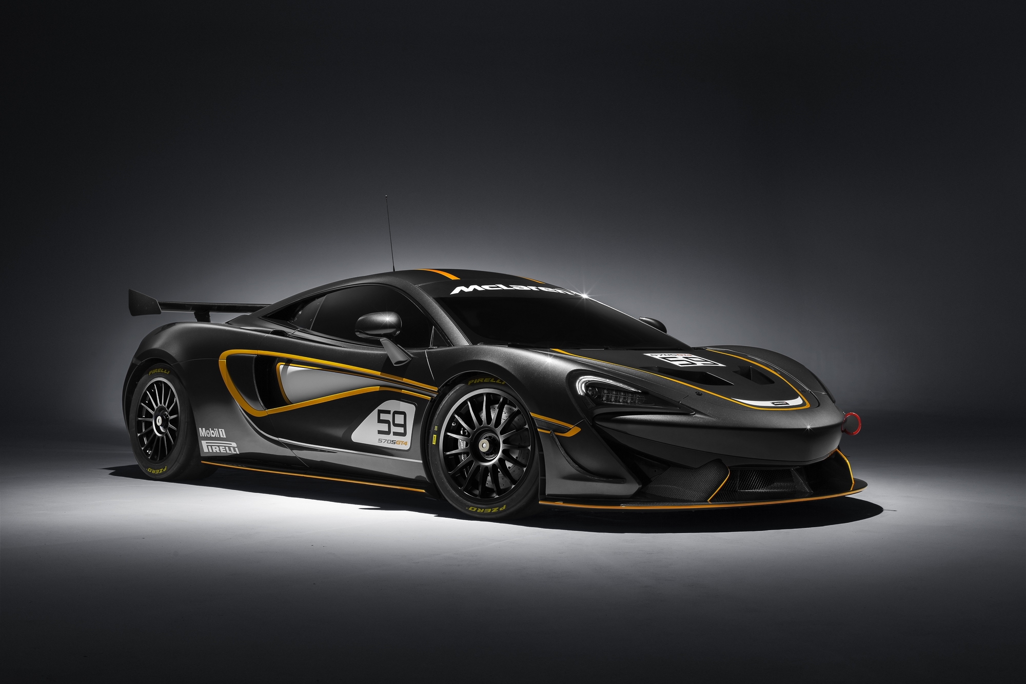 The 570S GT4 is a track car that can be homologated for several world GT categories