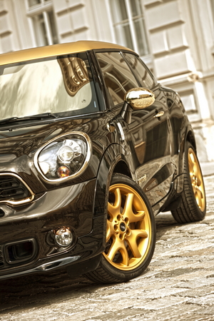 MINI (BMW) Paceman Roberto Cavalli