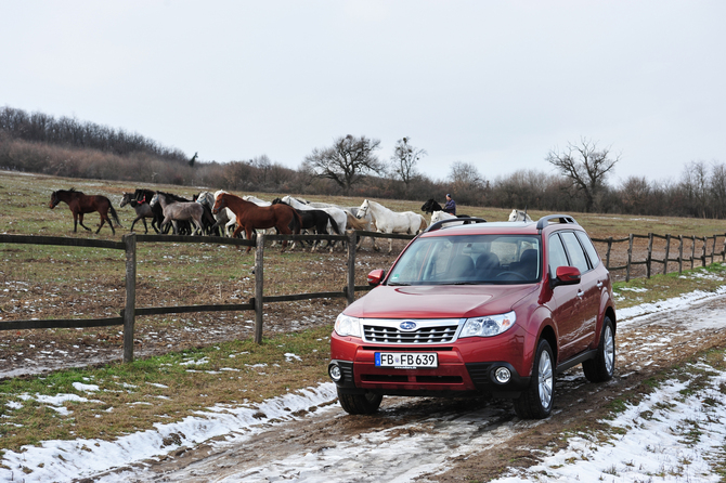 Subaru Forester 2.0X Active Automatic