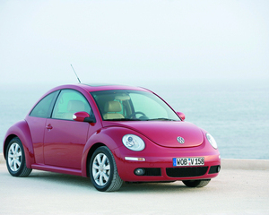 Beetle TDI