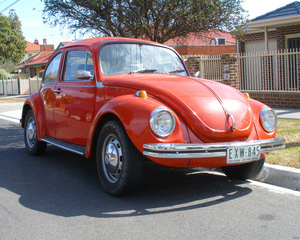 1302 S Beetle