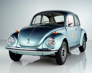 1302 Beetle