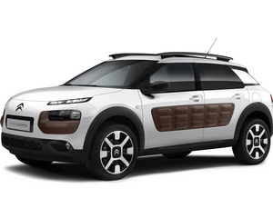 C4 Cactus 1.0 VTi