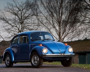 Beetle La Grande Bug